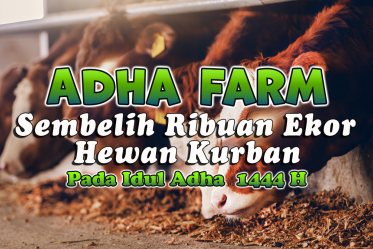 Adha Farm Sembelih Ribuan Hewan Kurban, Pada Idul Adha 1444 H