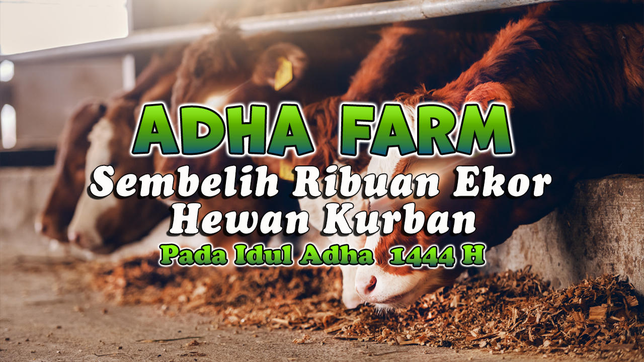 Adha Farm Sembelih Ribuan Hewan Kurban, Pada Idul Adha 1444 H