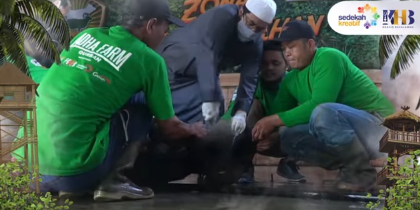 Kurban Kambing atau Sapi Mana yang Lebih Afdhol? Ini Kata Ustaz Khalid Basalamah.